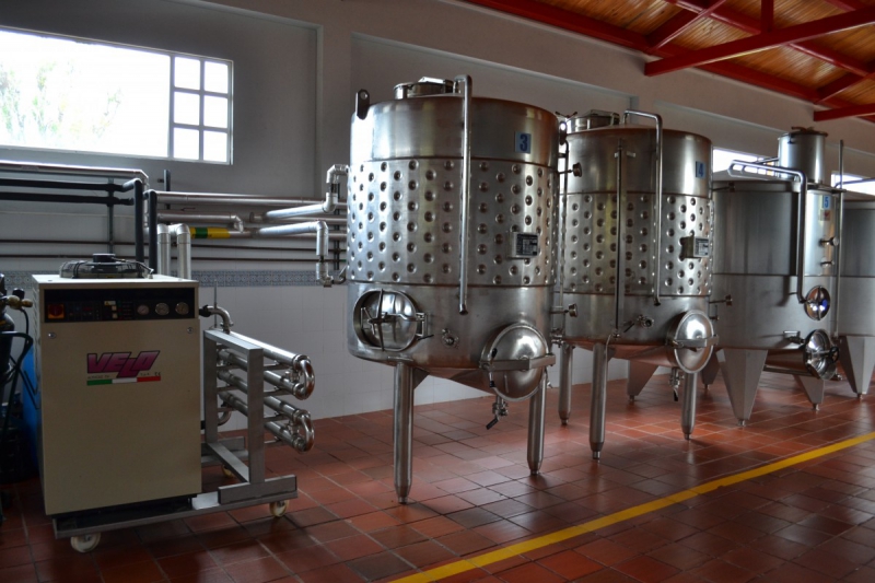 cave-LA TRINITE-min_wine_production_cantine_winery_drink_alcohol_vine_beverage-902036